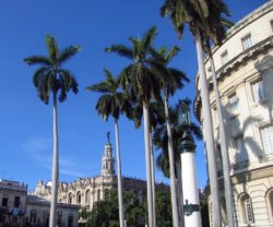 Отчет о поездке  на Кубу