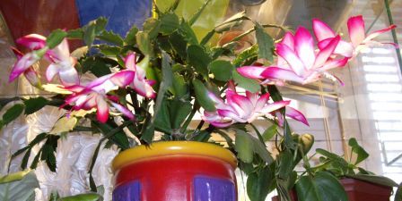 �������
