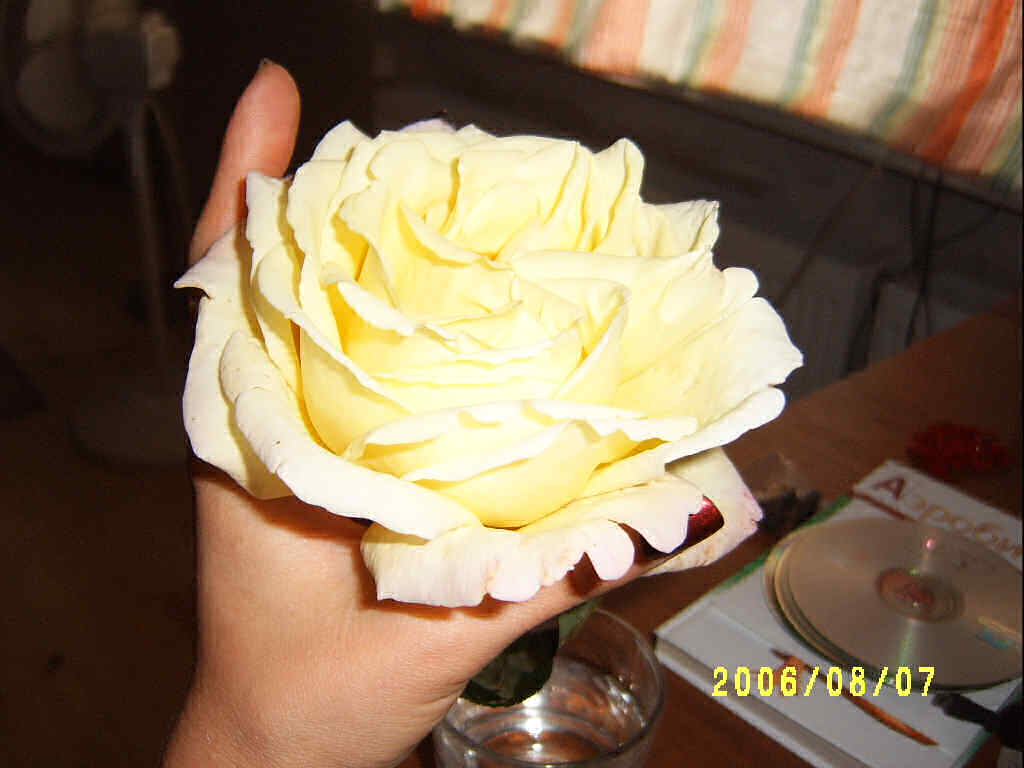 dcfef9bbae9c7465e547b1a7983e61a9