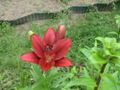 DSC00299.JPG