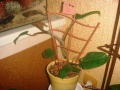 DSC05191.jpg