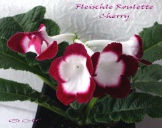 Fleischle Roulette Cherry