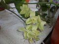 photo_46