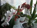 photo_64