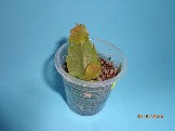 DSC05662.JPG
