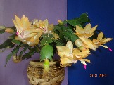DSC04169.JPG