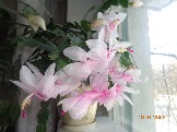 DSC02773.JPG