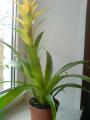 DSC04195.JPG