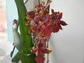 photo_59