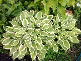 IMG_0922.JPG