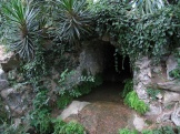 Адиантумы, плющи, юкки...
Никитский ботанический сад.