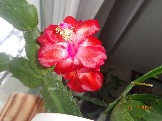 DSC05115.JPG