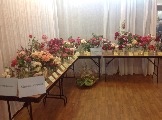IMG_6345.JPG