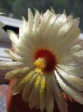 20170805_094631.jpg