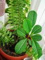 DSC04501.JPG