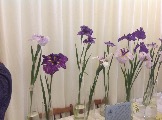 IMG_6293.JPG